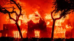 What to do if your home is destroyed by wildfires